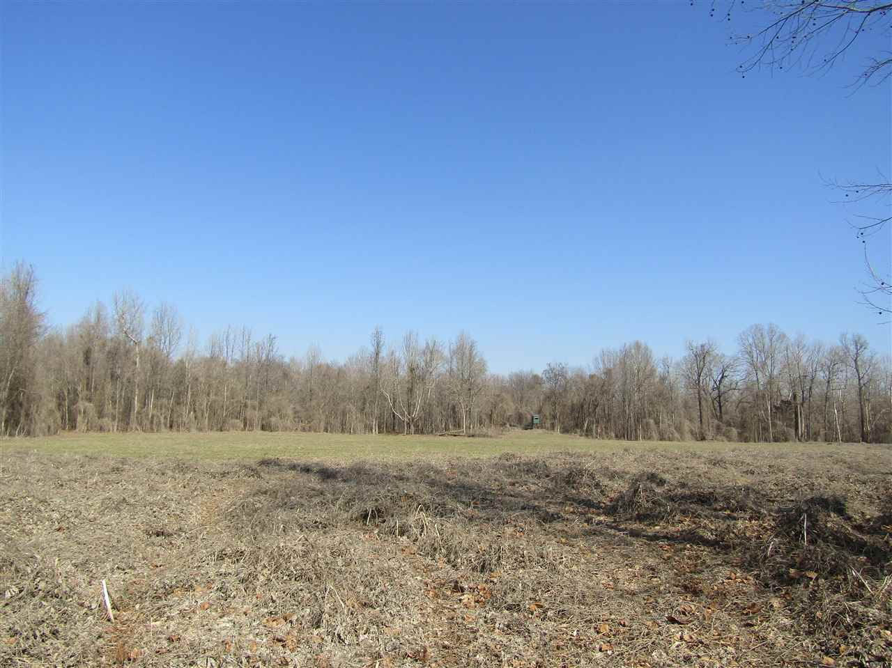 70 Avant Road Crenshaw, MS 38621 - Photo 13 of 25 Photo 13