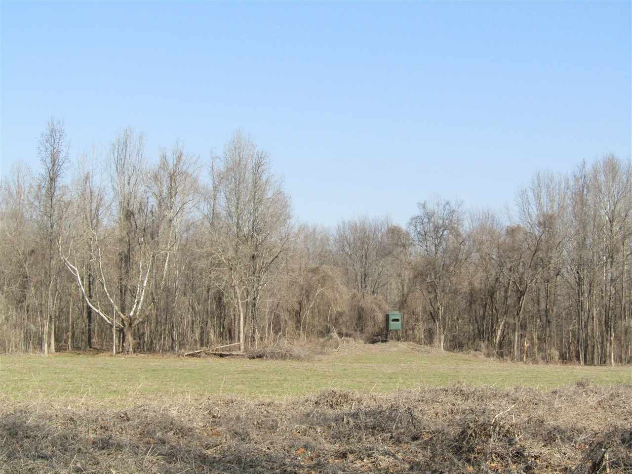 70 Avant Road Crenshaw, MS 38621 - Photo 14 of 25 Photo 14