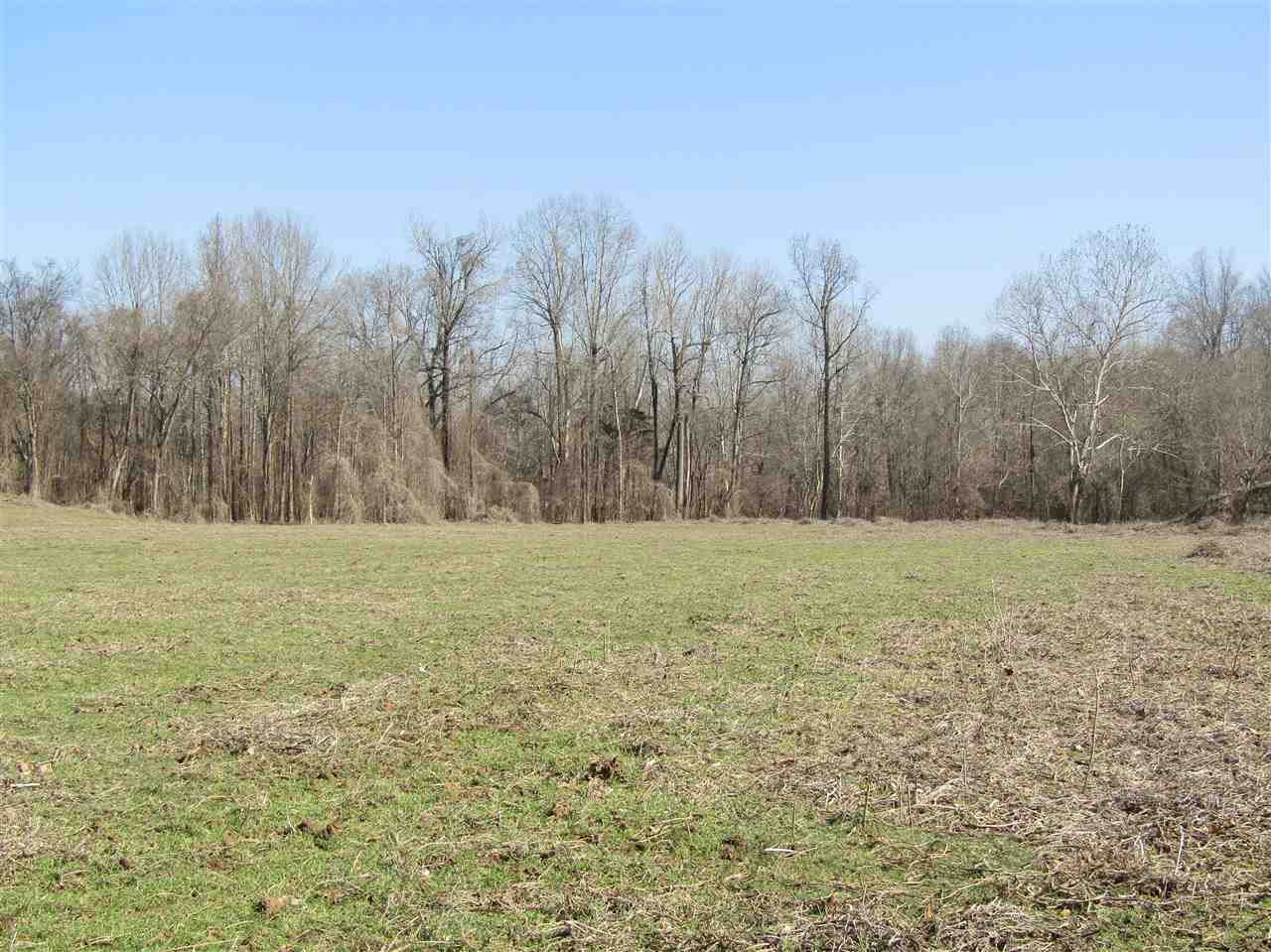 70 Avant Road Crenshaw, MS 38621 - Photo 16 of 25 Photo 16