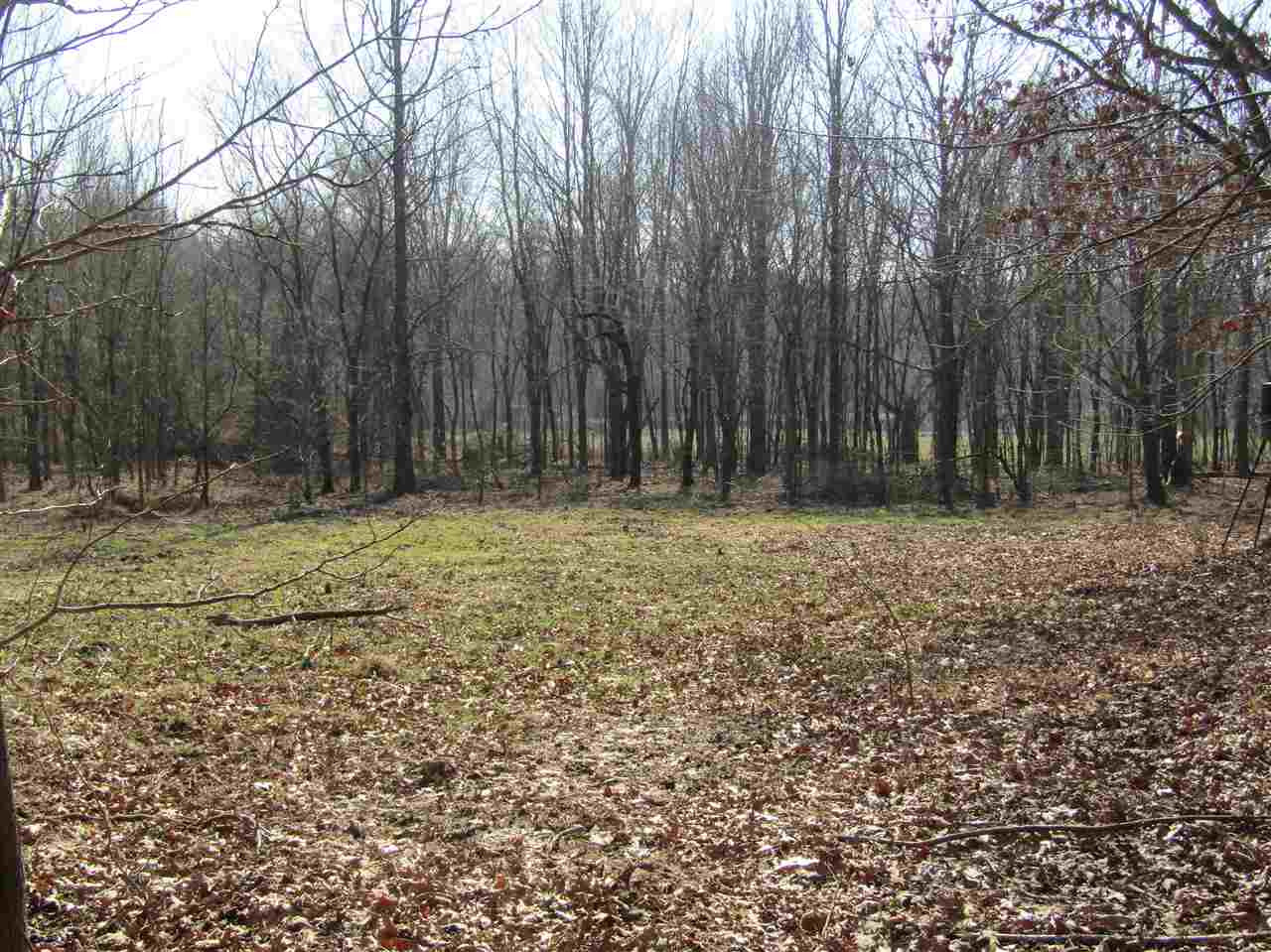 70 Avant Road Crenshaw, MS 38621 - Photo 18 of 25 Photo 18
