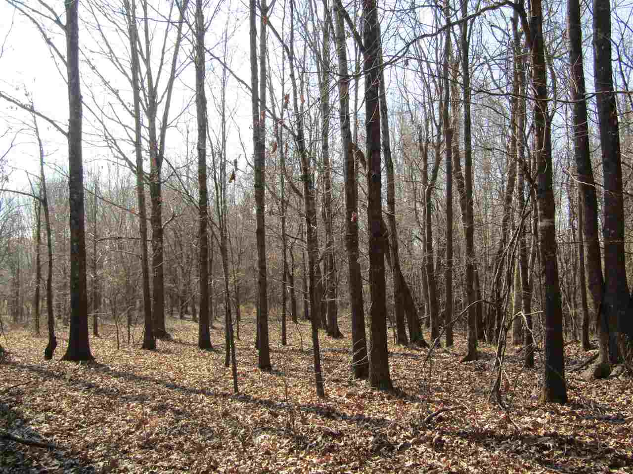 70 Avant Road Crenshaw, MS 38621 - Photo 19 of 25 Photo 19