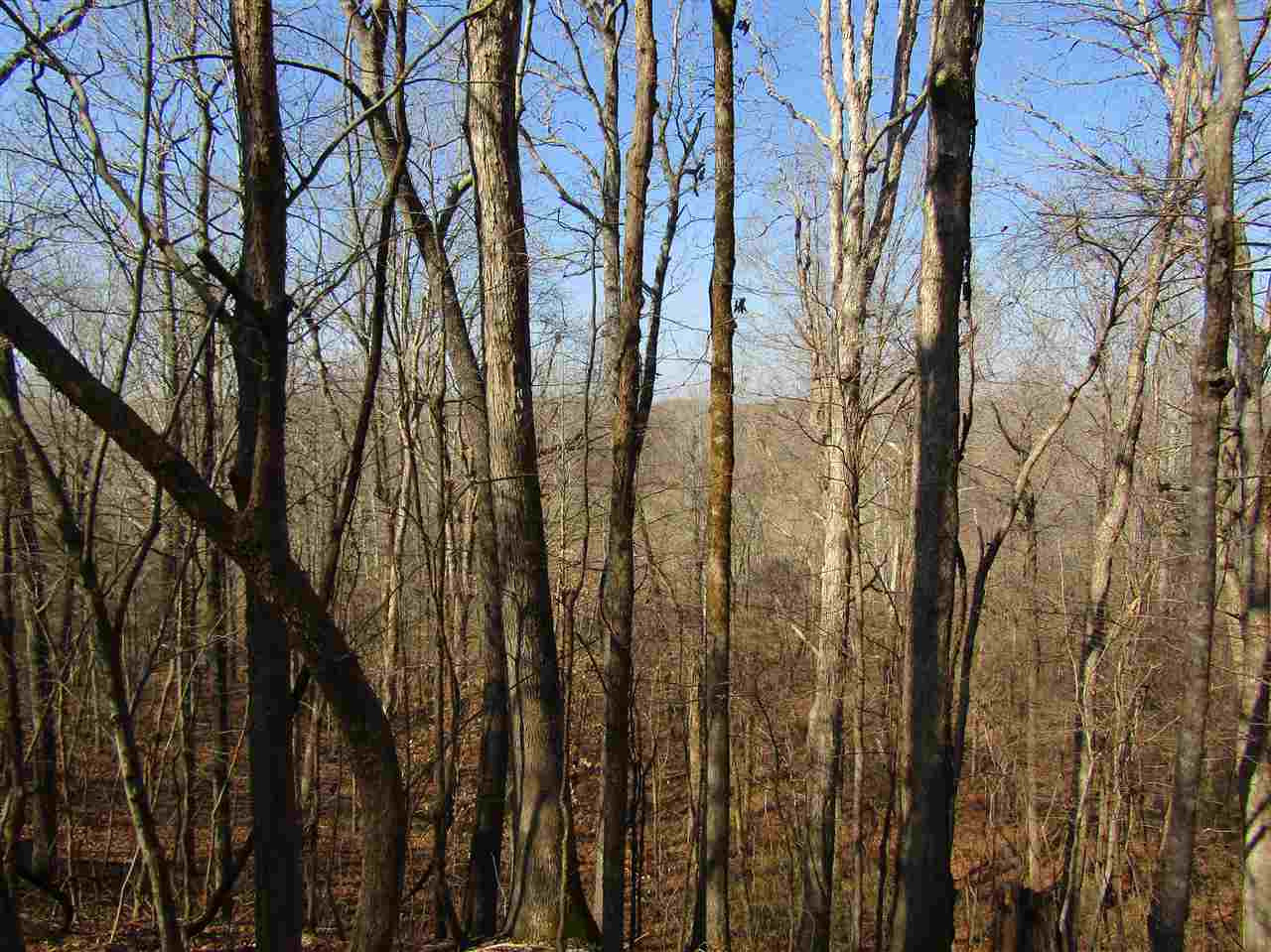 70 Avant Road Crenshaw, MS 38621 - Photo 5 of 25 Photo 5
