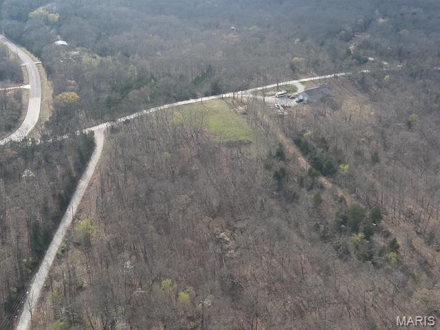 0 Riverwoods Blf Trail St. Clair, MO 63077 - Photo 3 of 9