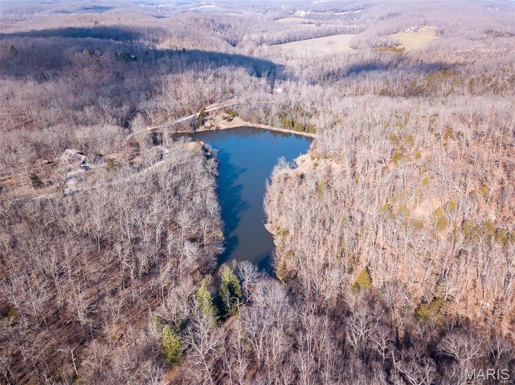 0 Riverwoods Blf Trail St. Clair, MO 63077 - Photo 6 of 9