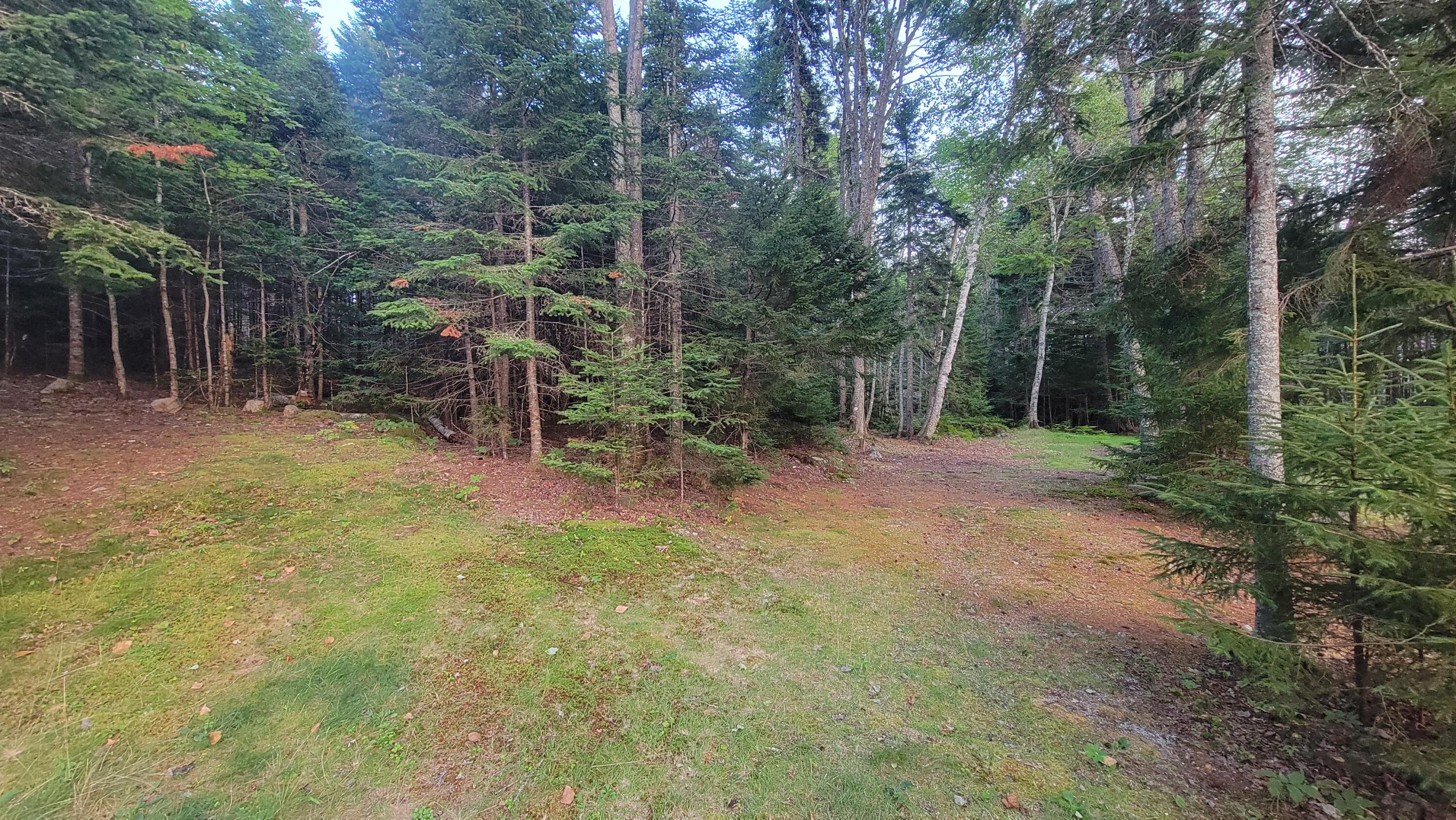 77 Dolly Head Road Steuben, ME 04680 - Photo 49 of 52 Additional Acreage