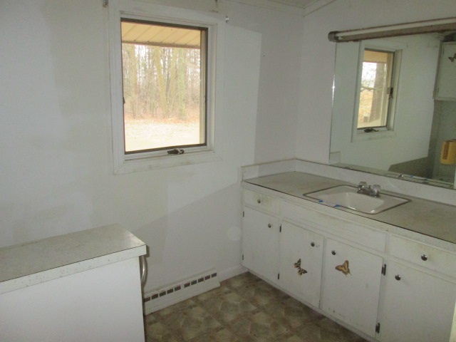 10729 Sarle Road Freeland, MI 48623 - Photo 9 of 11