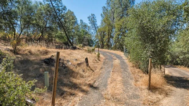 a view of a yard with trees