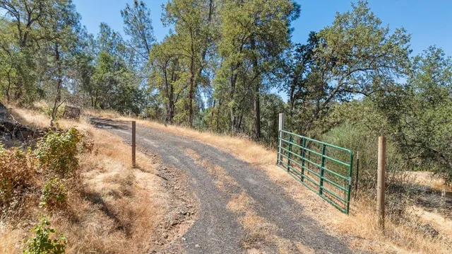 a view of a yard with a tree