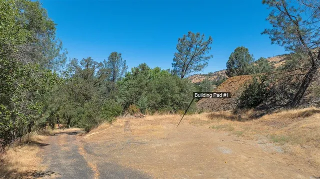 a view of outdoor space with trees