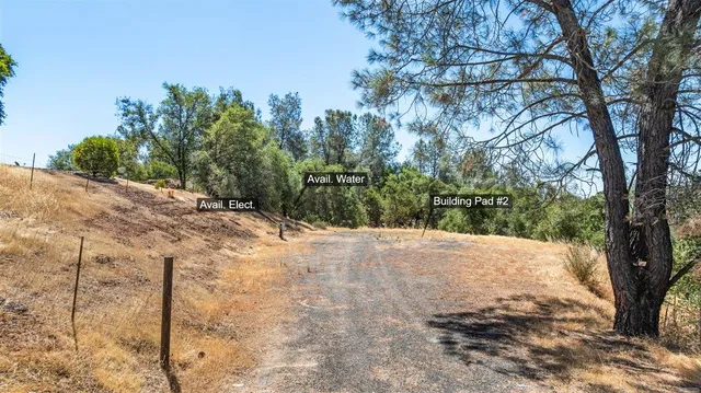 a view of a yard with trees