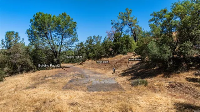 a view of yard with trees