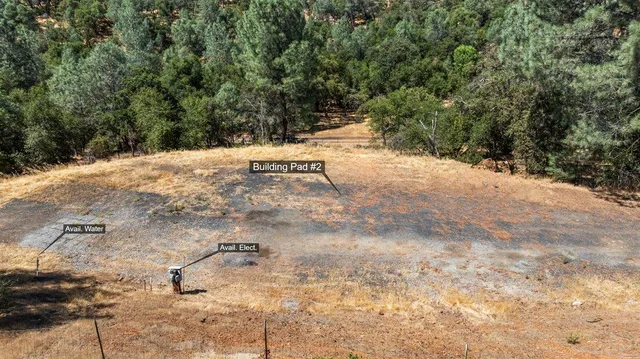 a view of a dry yard with plants and trees