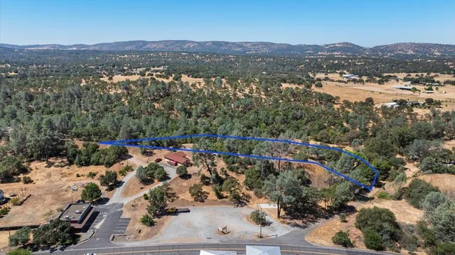 a row of palm trees on the side of a street