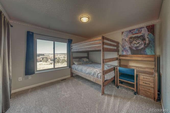 1117 Caliente Lane Poncha Springs, CO 81242 - Photo 28 of 48