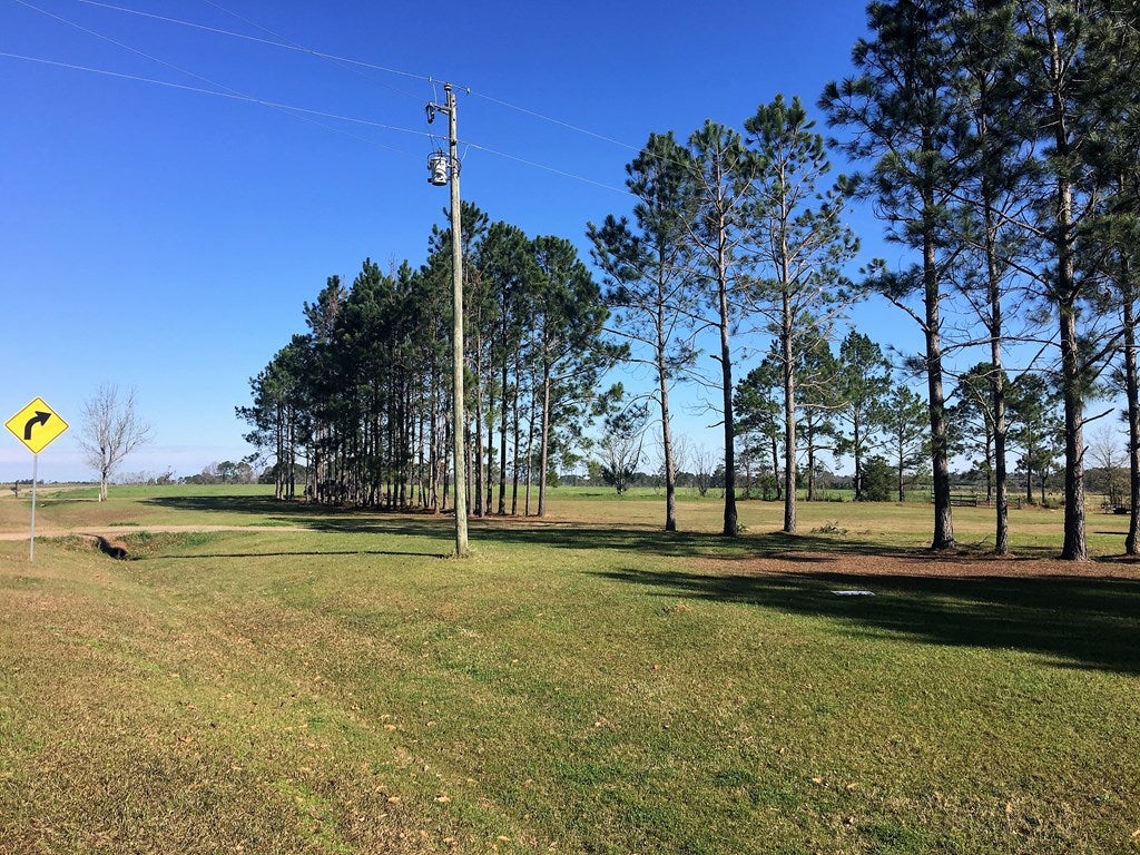 1225 Herman Simmons Road Doerun, GA 31744 - Photo 26 of 28 Gallery Image 26