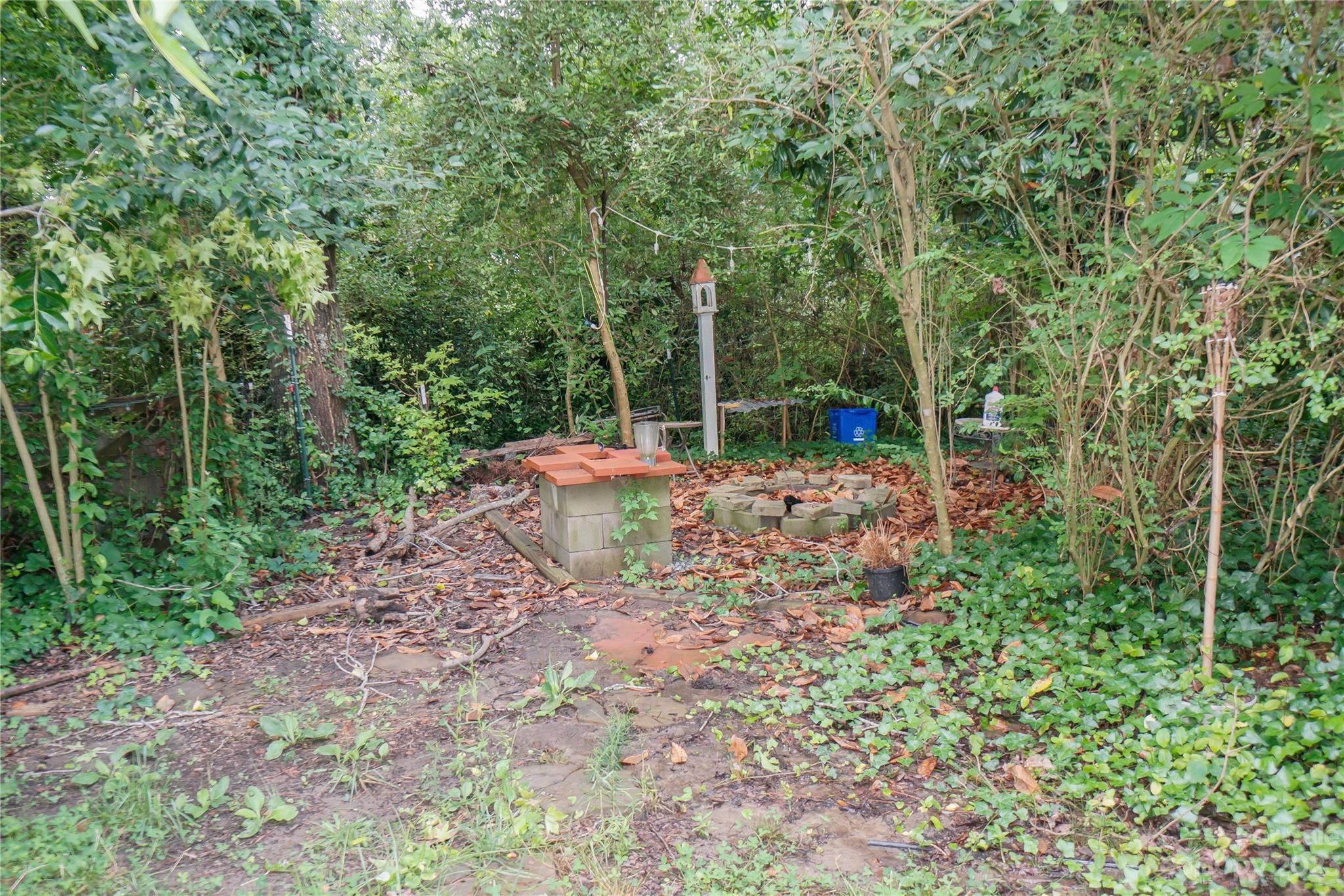 720 Flint Street Rock Hill, SC 29730 - Photo 19 of 20 a backyard of a house with lots of green space and fountain