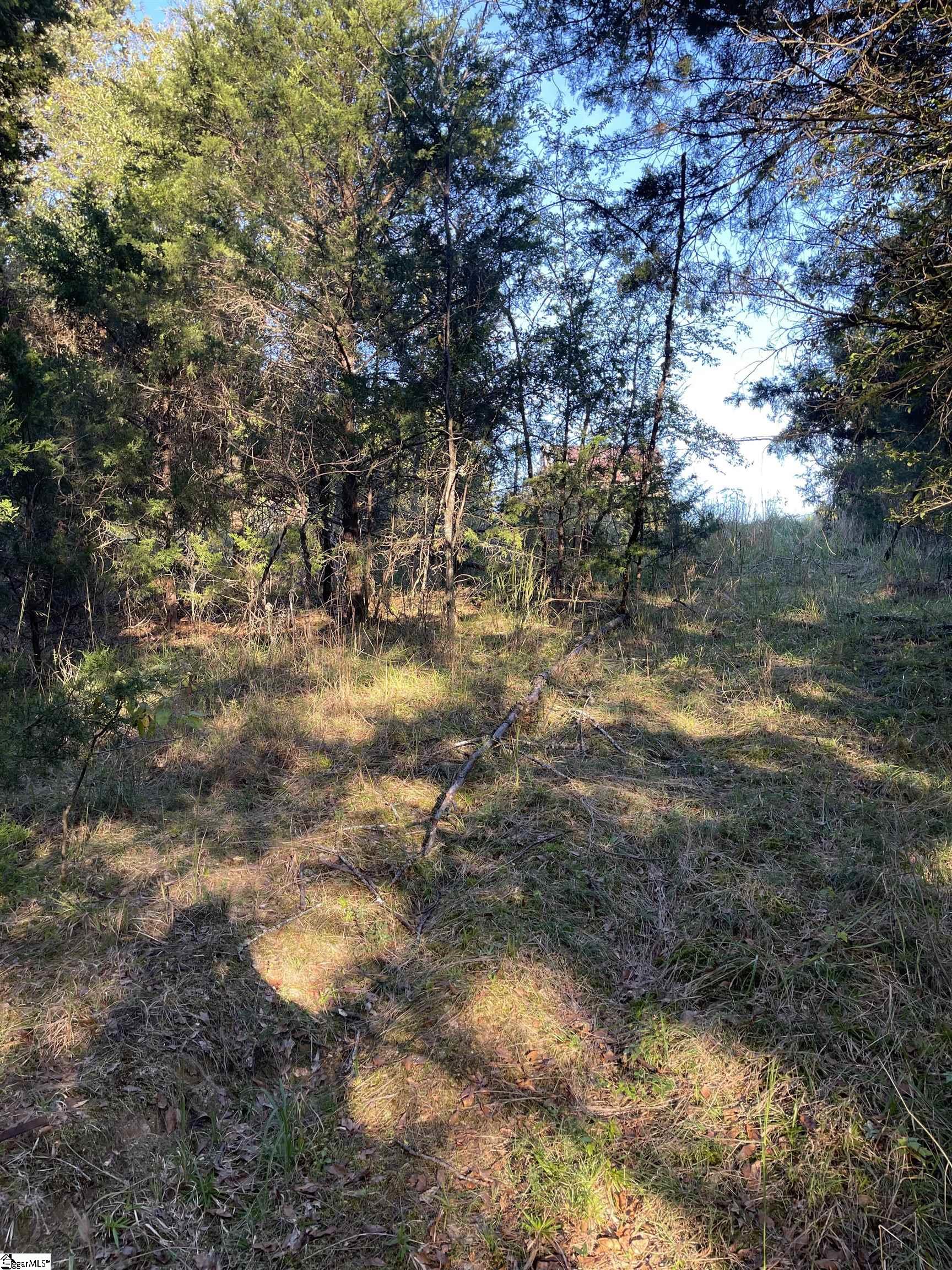 222 Carlton Road Woodruff, SC 29388 - Photo 18 of 27