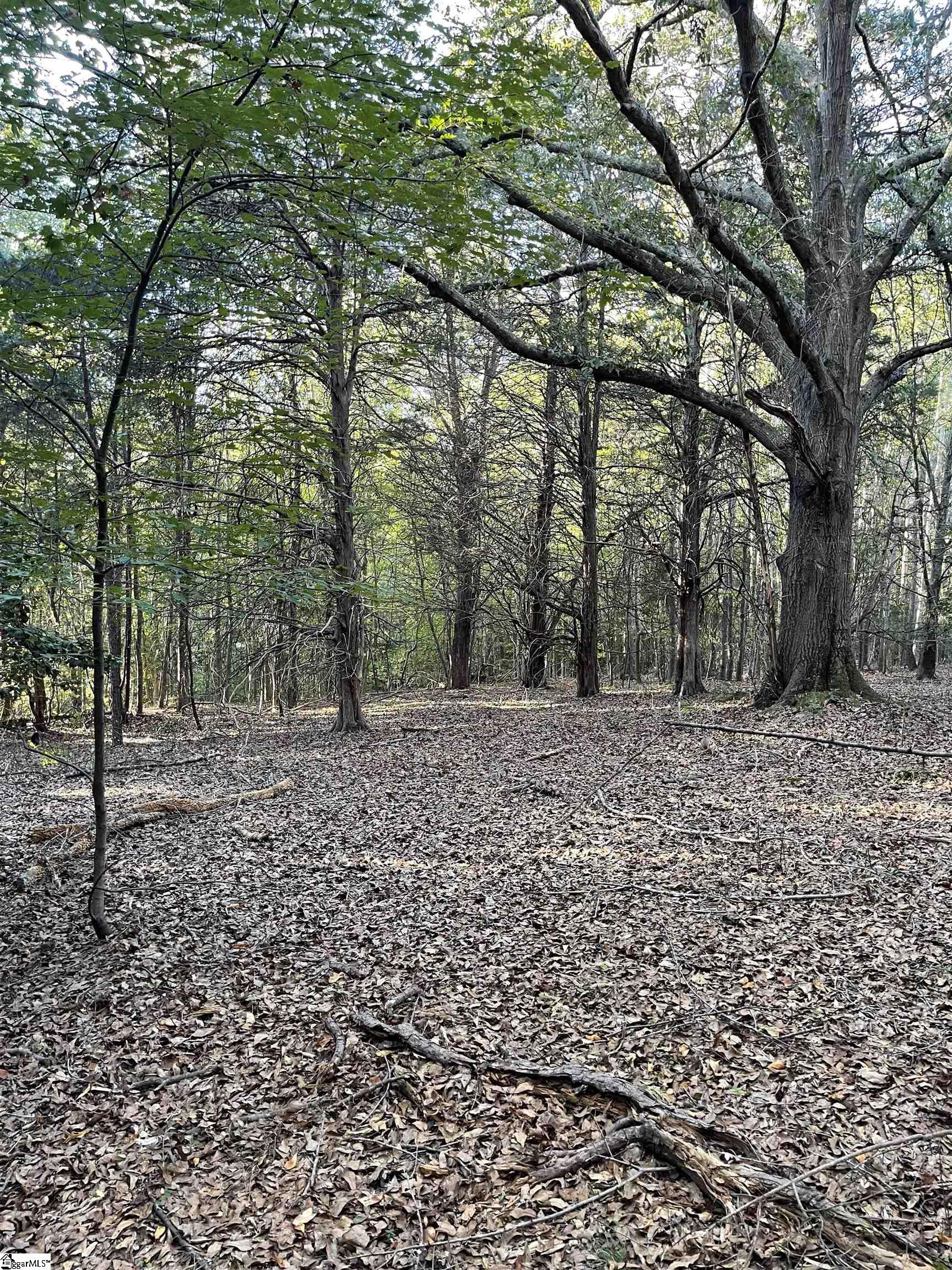 222 Carlton Road Woodruff, SC 29388 - Photo 23 of 27
