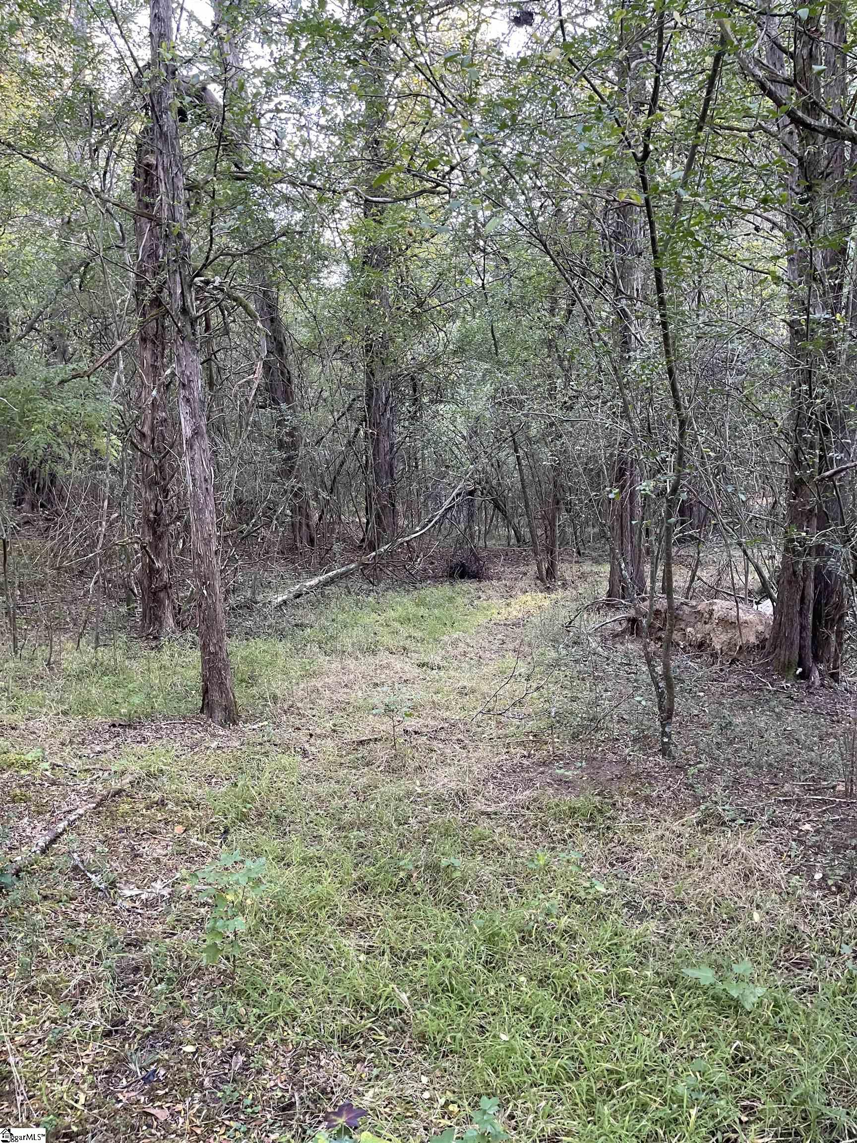 222 Carlton Road Woodruff, SC 29388 - Photo 24 of 27