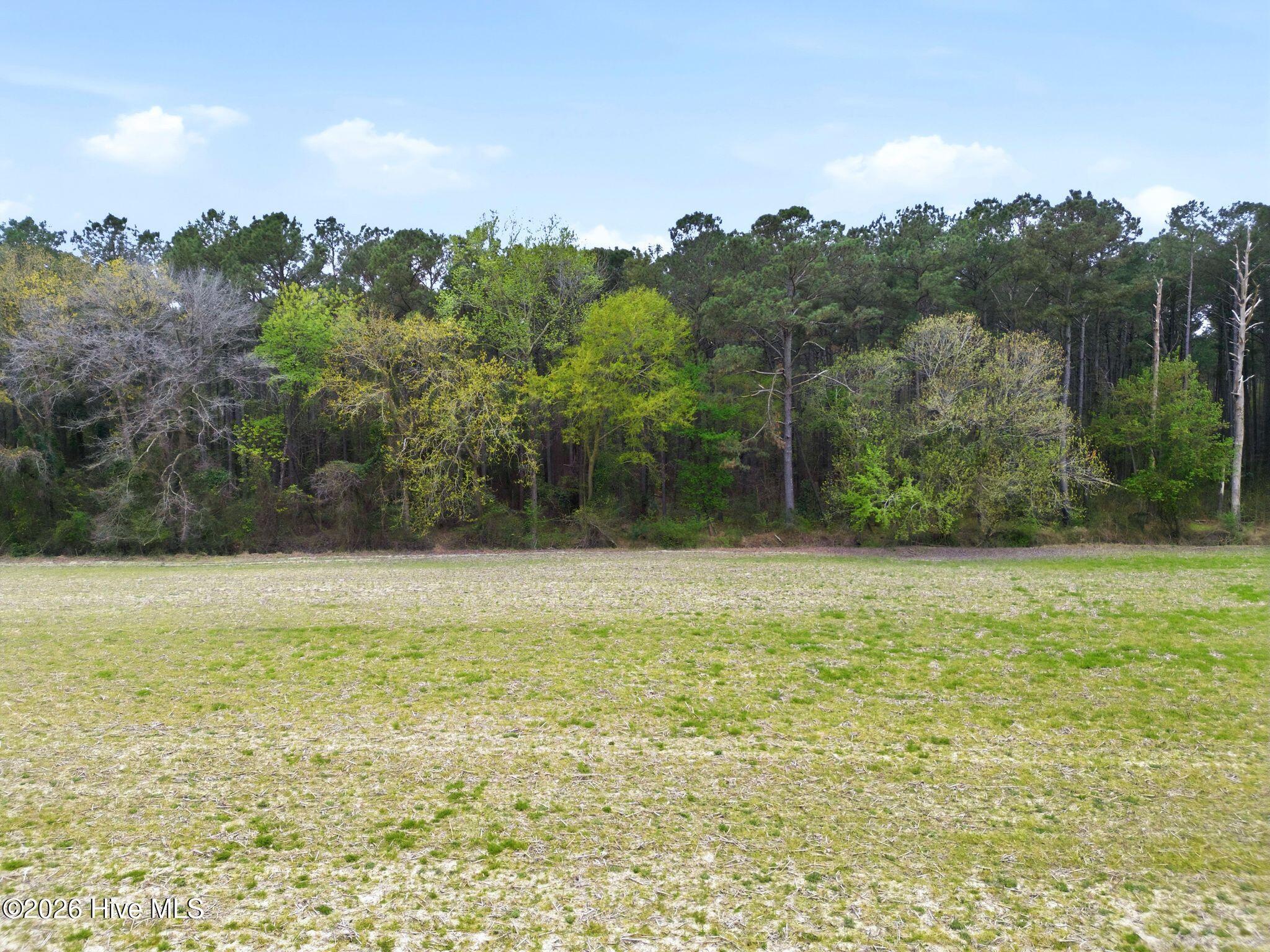 6-ac Kader Merritt Road Rose Hill, NC 28458 - Photo 16 of 17 View from road