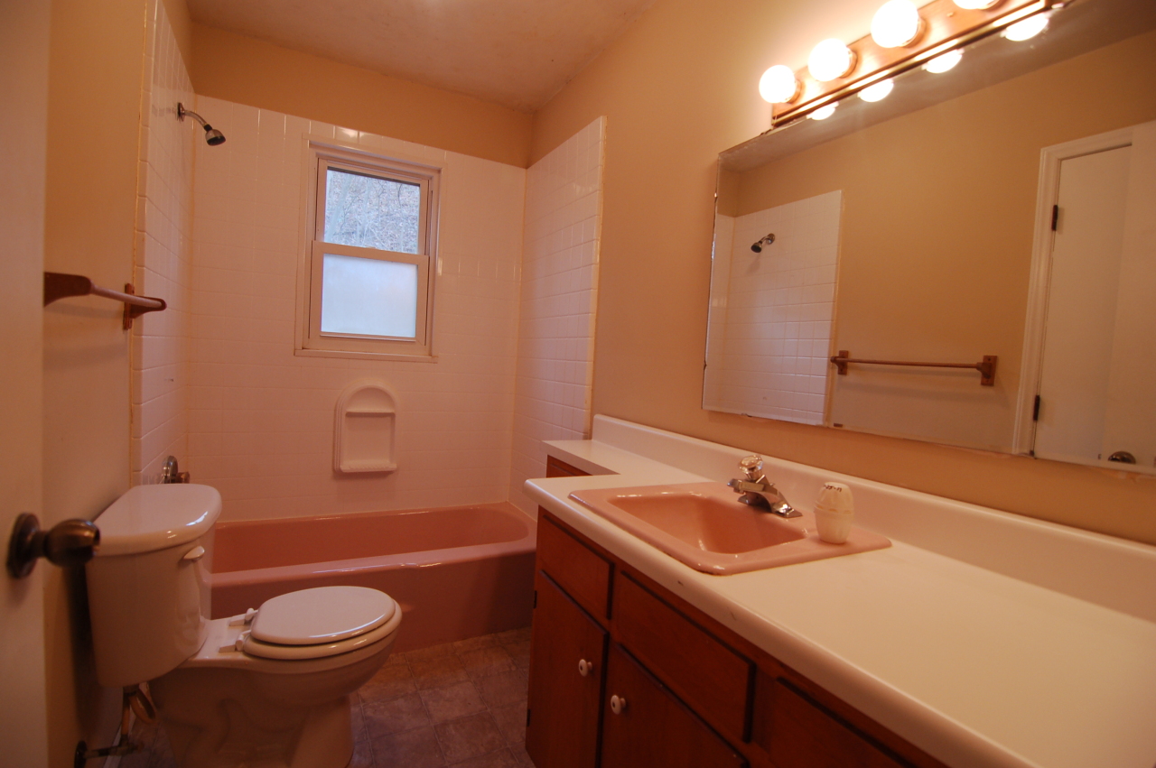 1100 Shady Run Road Vinton, VA 24179 - Photo 8 of 17 Bath
