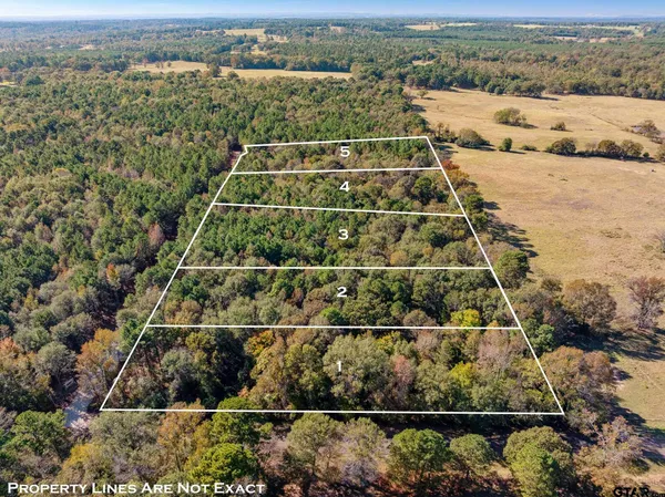 $408,275 | 1-5 Creek Bend Trail, Troup, TX 75789