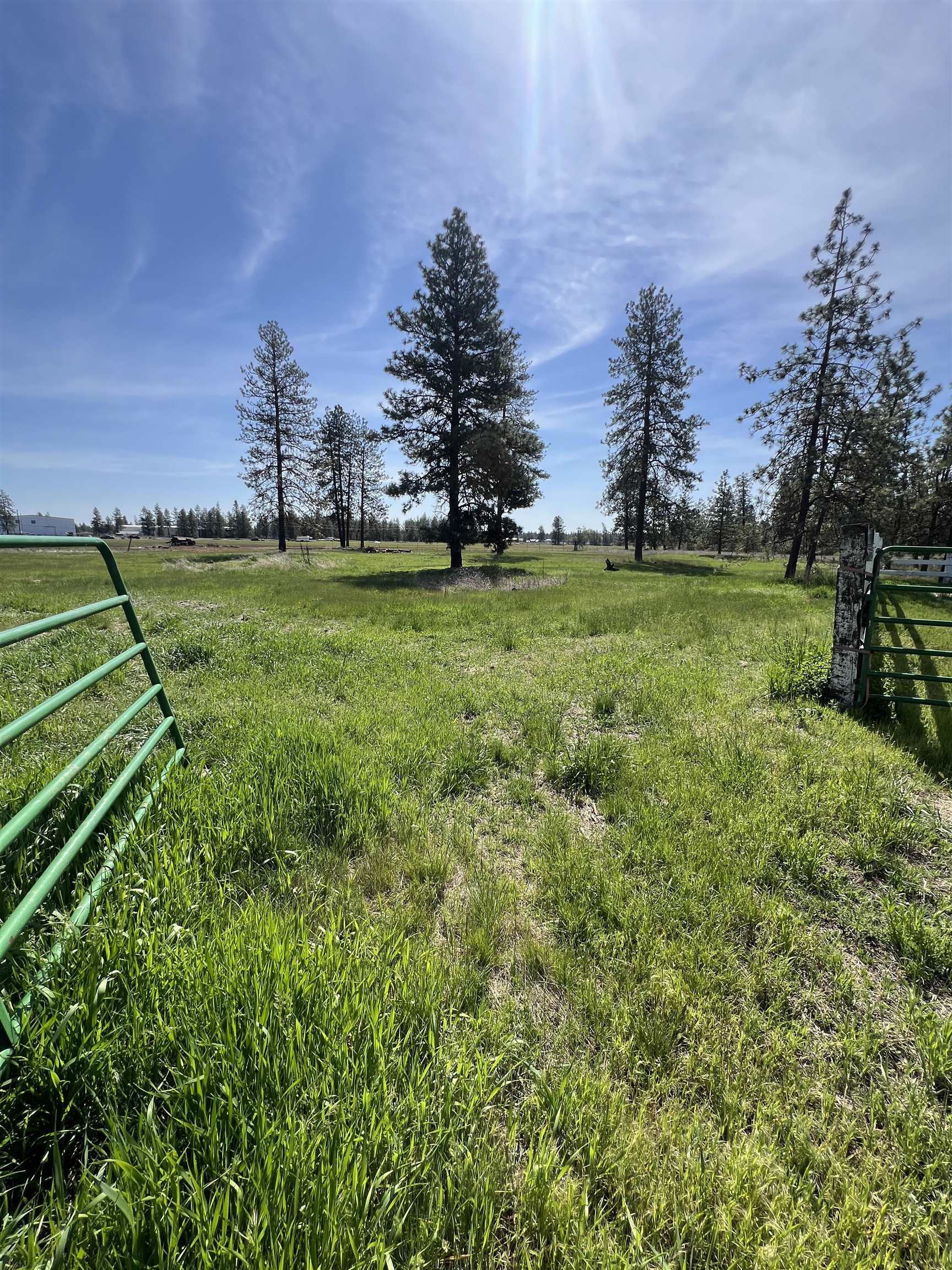 14313 Highway 904 Cheney, WA 99004 - Photo 41 of 49