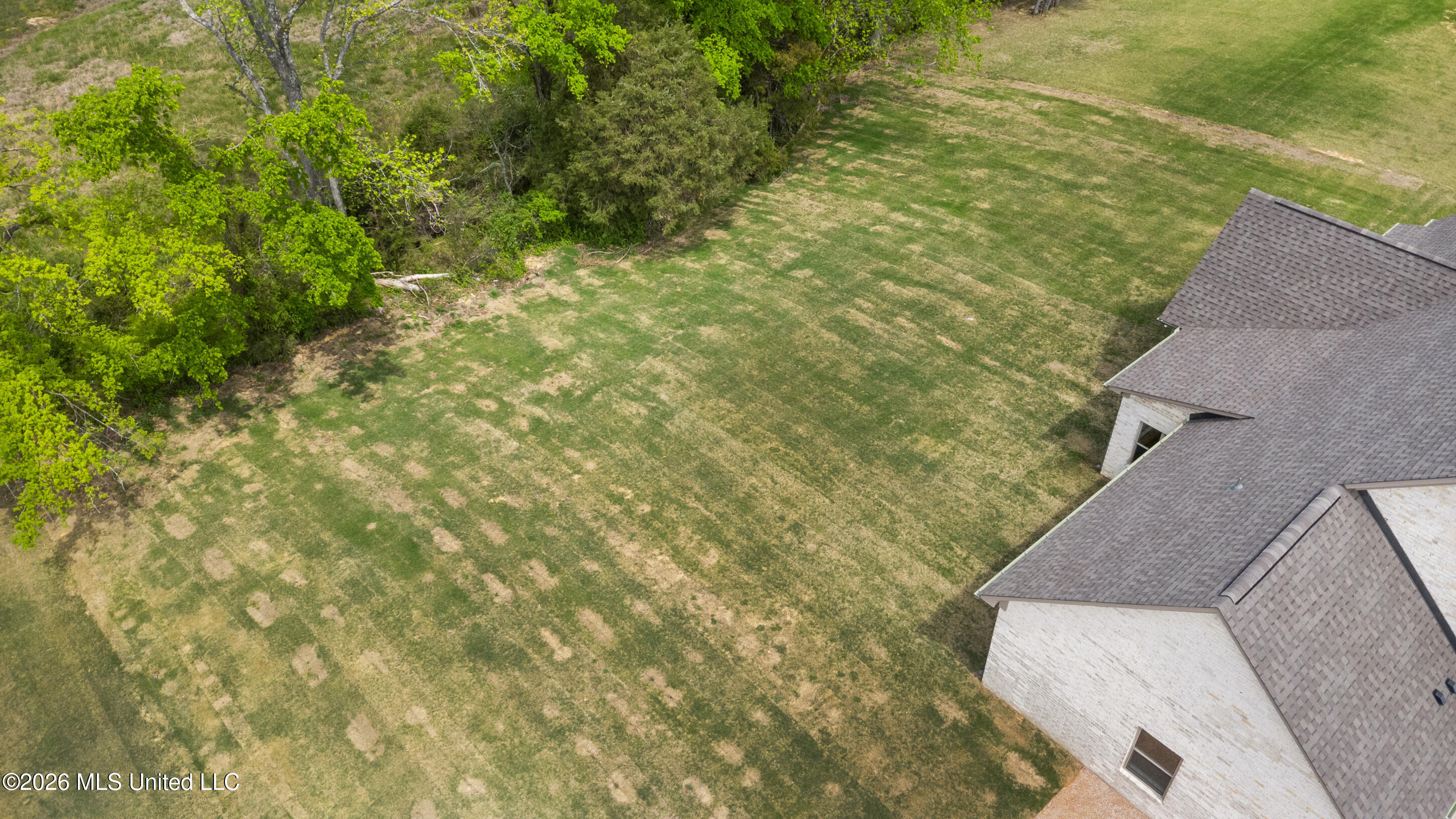 1650 Ashtons Lane Hernando, MS 38632 - Photo 36 of 38 Aerial Backyard