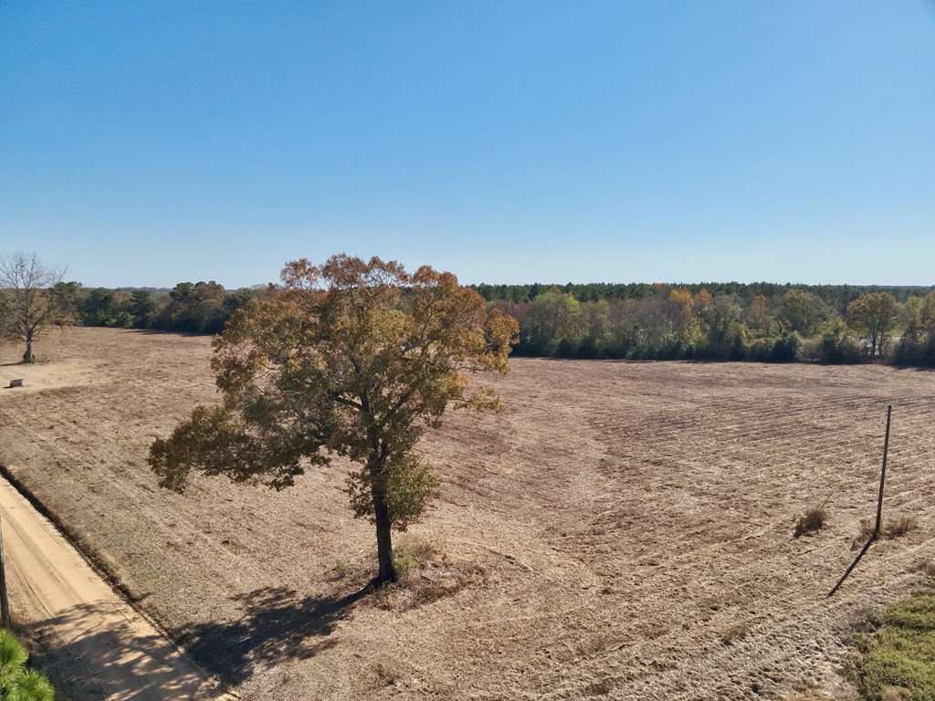 6.74-acres Huskey Road Dothan, AL 36303 - Photo 4 of 13