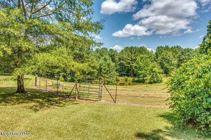 4156 Raymond Road Hazlehurst, MS 39083 - Photo 20 of 45 Pasture
