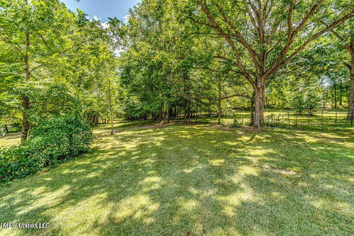 4156 Raymond Road Hazlehurst, MS 39083 - Photo 21 of 45 Pasture