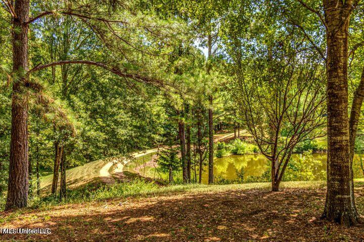 4156 Raymond Road Hazlehurst, MS 39083 - Photo 4 of 45 Drive
