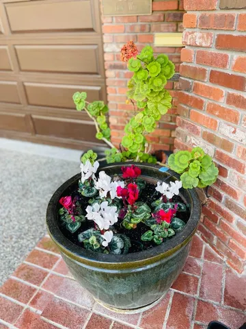 $23,000 | 200 Iris Way, Palo Alto, CA 94303