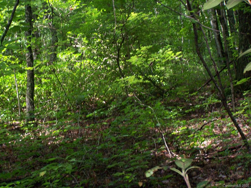 Tract C Balsam Ridge Road, Unit TRACT C Waynesville, NC 28786 - Photo 11 of 27 Gallery Image 11