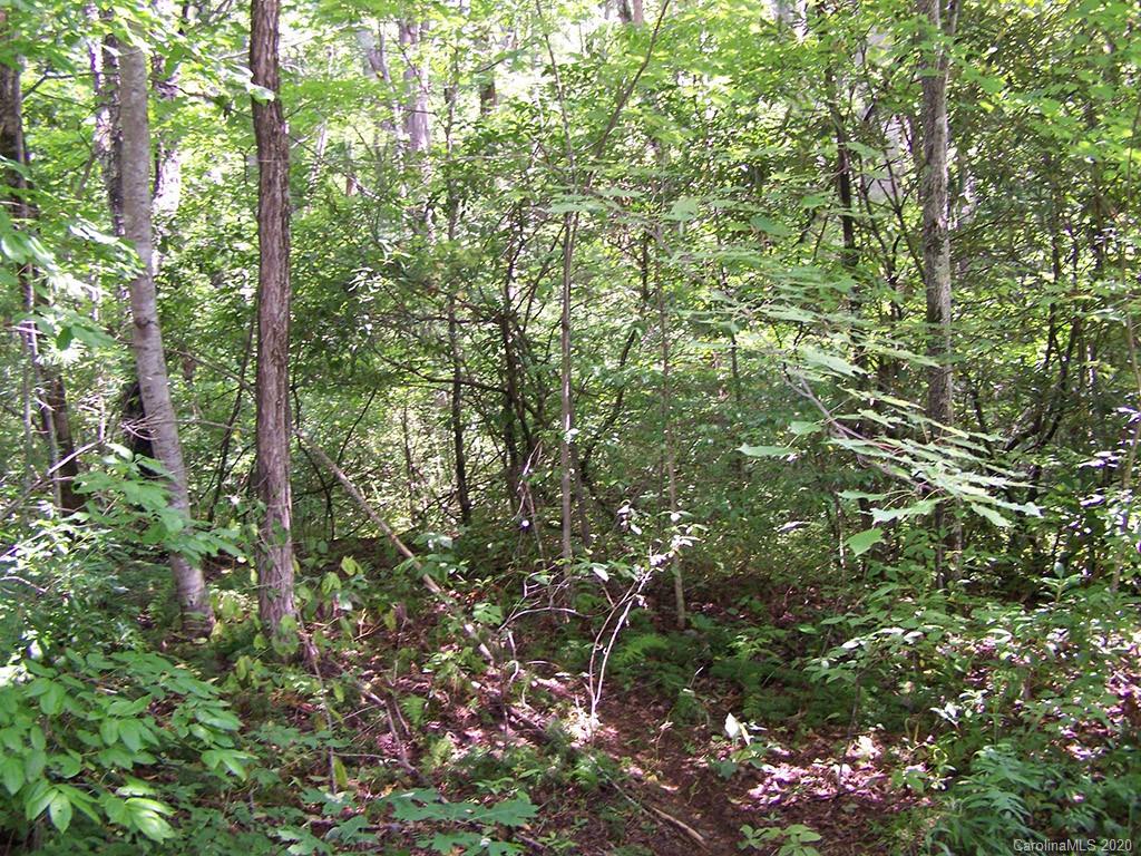 Tract C Balsam Ridge Road, Unit TRACT C Waynesville, NC 28786 - Photo 12 of 27 Gallery Image 12