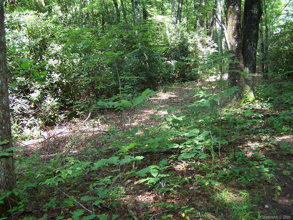 Tract C Balsam Ridge Road, Unit TRACT C Waynesville, NC 28786 - Photo 13 of 27 Gallery Image 13