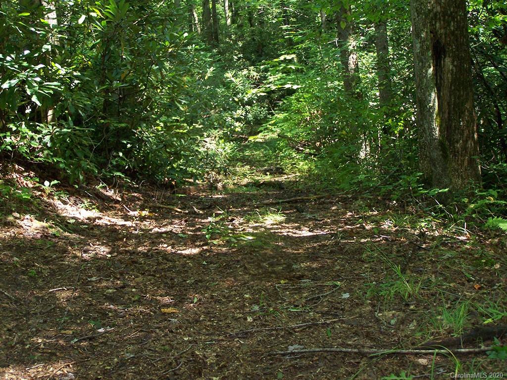 Tract C Balsam Ridge Road, Unit TRACT C Waynesville, NC 28786 - Photo 14 of 27 Gallery Image 14