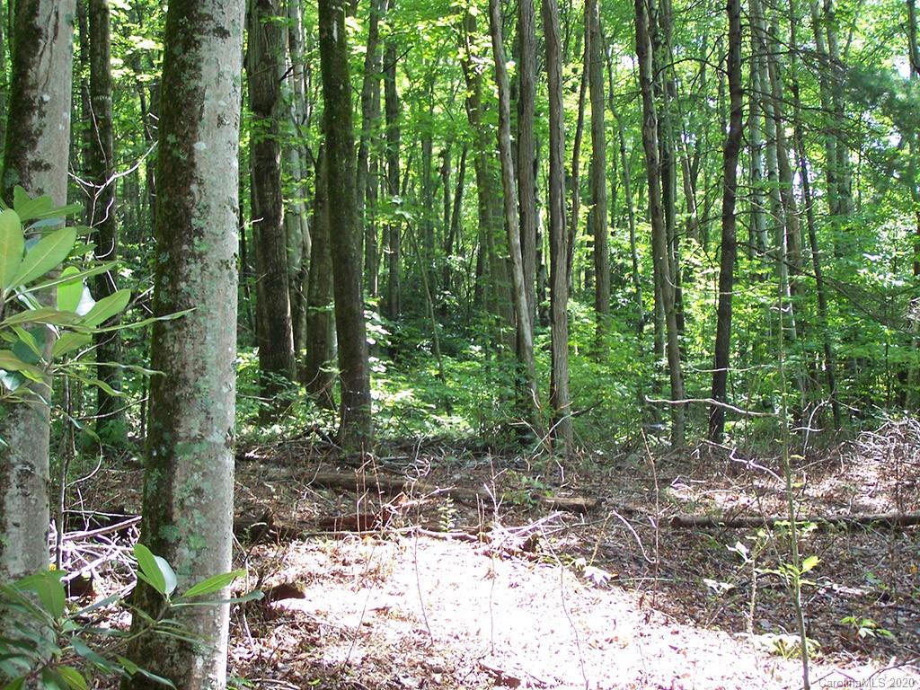 Tract C Balsam Ridge Road, Unit TRACT C Waynesville, NC 28786 - Photo 15 of 27 Gallery Image 15