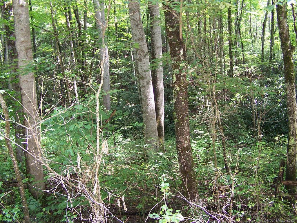 Tract C Balsam Ridge Road, Unit TRACT C Waynesville, NC 28786 - Photo 16 of 27 Gallery Image 16