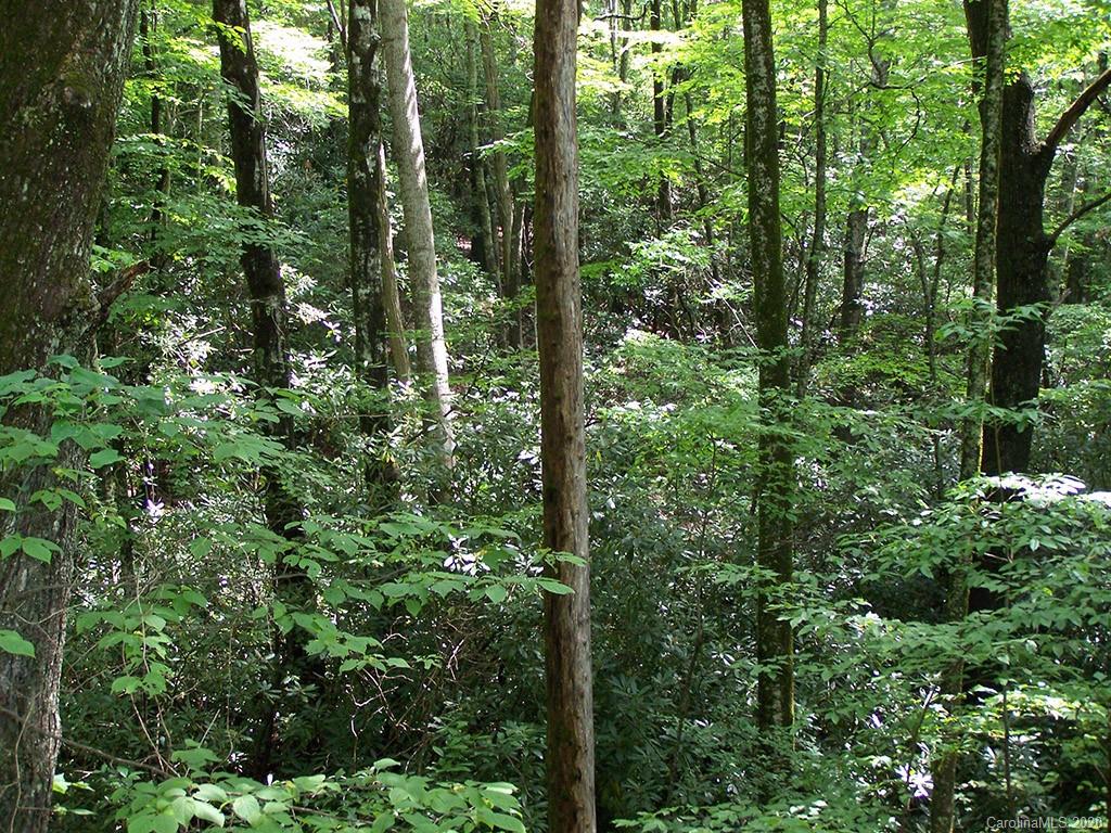 Tract C Balsam Ridge Road, Unit TRACT C Waynesville, NC 28786 - Photo 18 of 27 Gallery Image 18