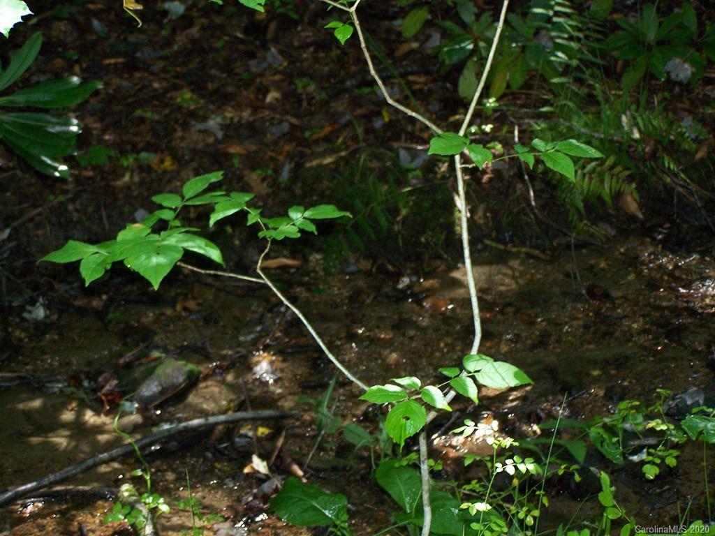 Tract C Balsam Ridge Road, Unit TRACT C Waynesville, NC 28786 - Photo 26 of 27 Gallery Image 26