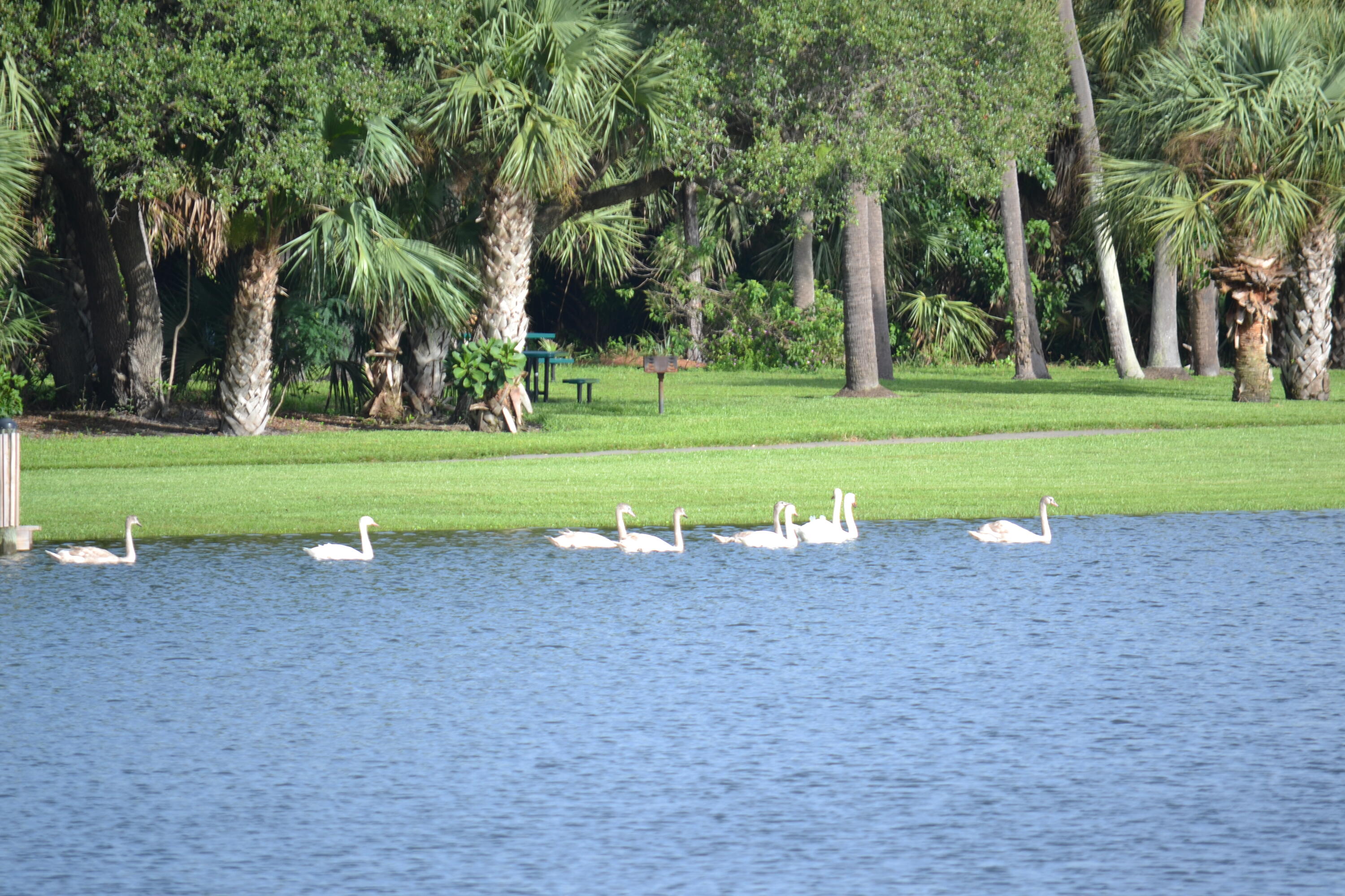 2650 Greenwood Terrace, Unit 2180 Boca Raton, FL 33431 - Photo 21 of 30 5-Acre Wildlife Preserve