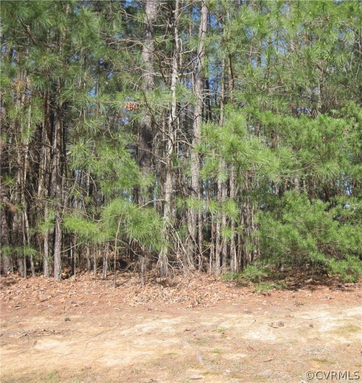 a view of a backyard of a house