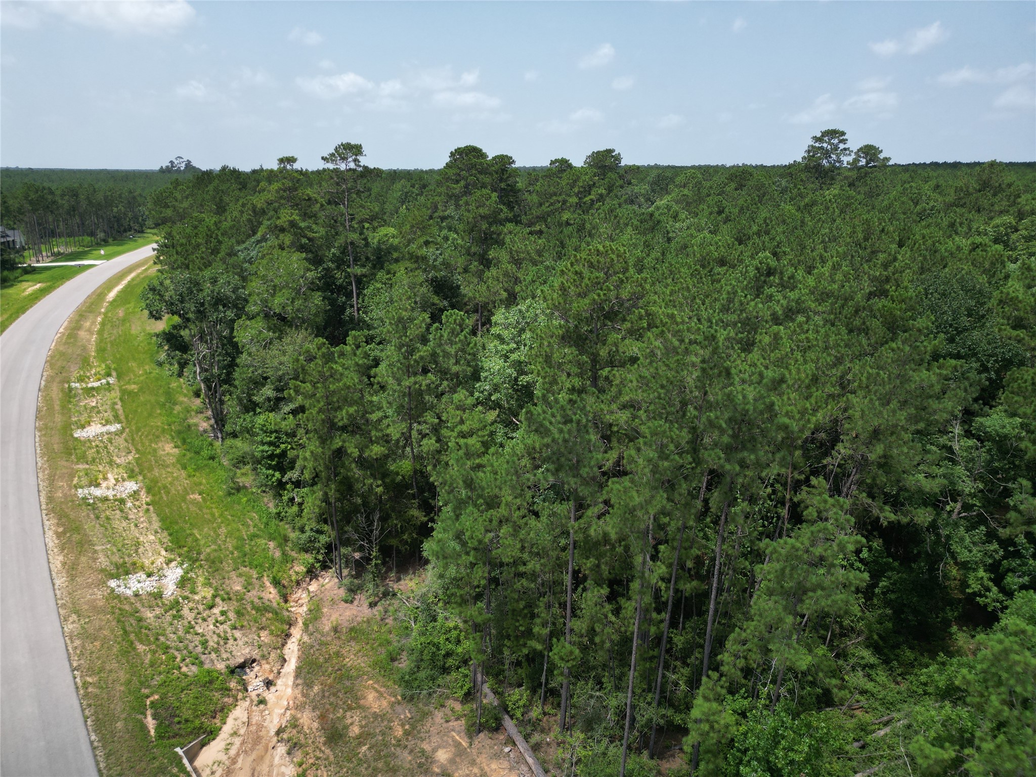 15884 Ridge Oak Road Willis, TX 77378 - Photo 7 of 24
