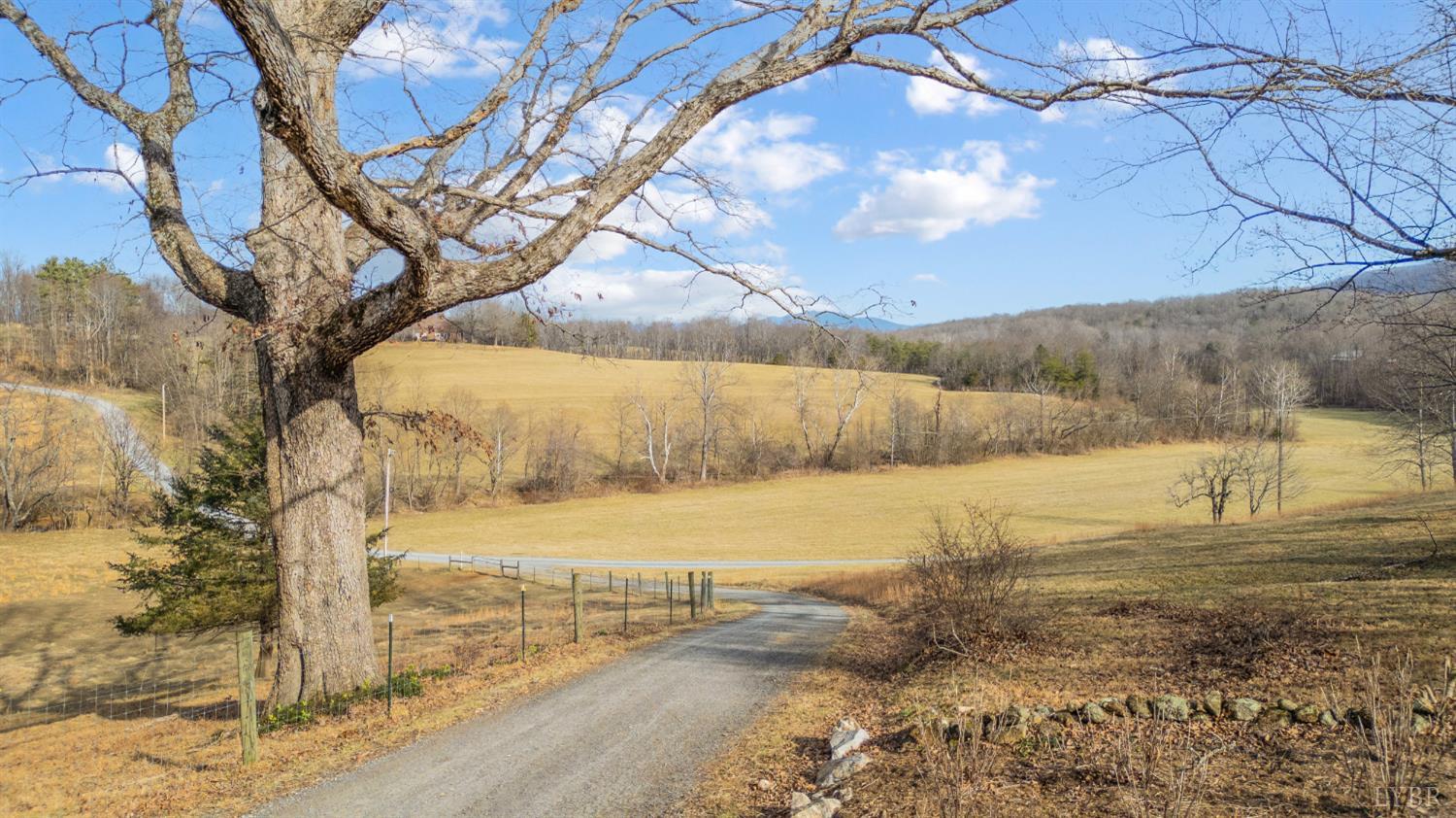1509 Tolley Meadow Road Big Island, VA 24526 - Photo 50 of 81