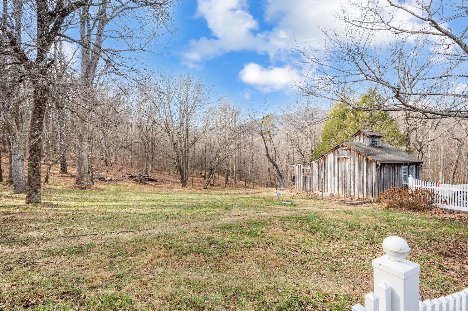 1509 Tolley Meadow Road Big Island, VA 24526 - Photo 52 of 81