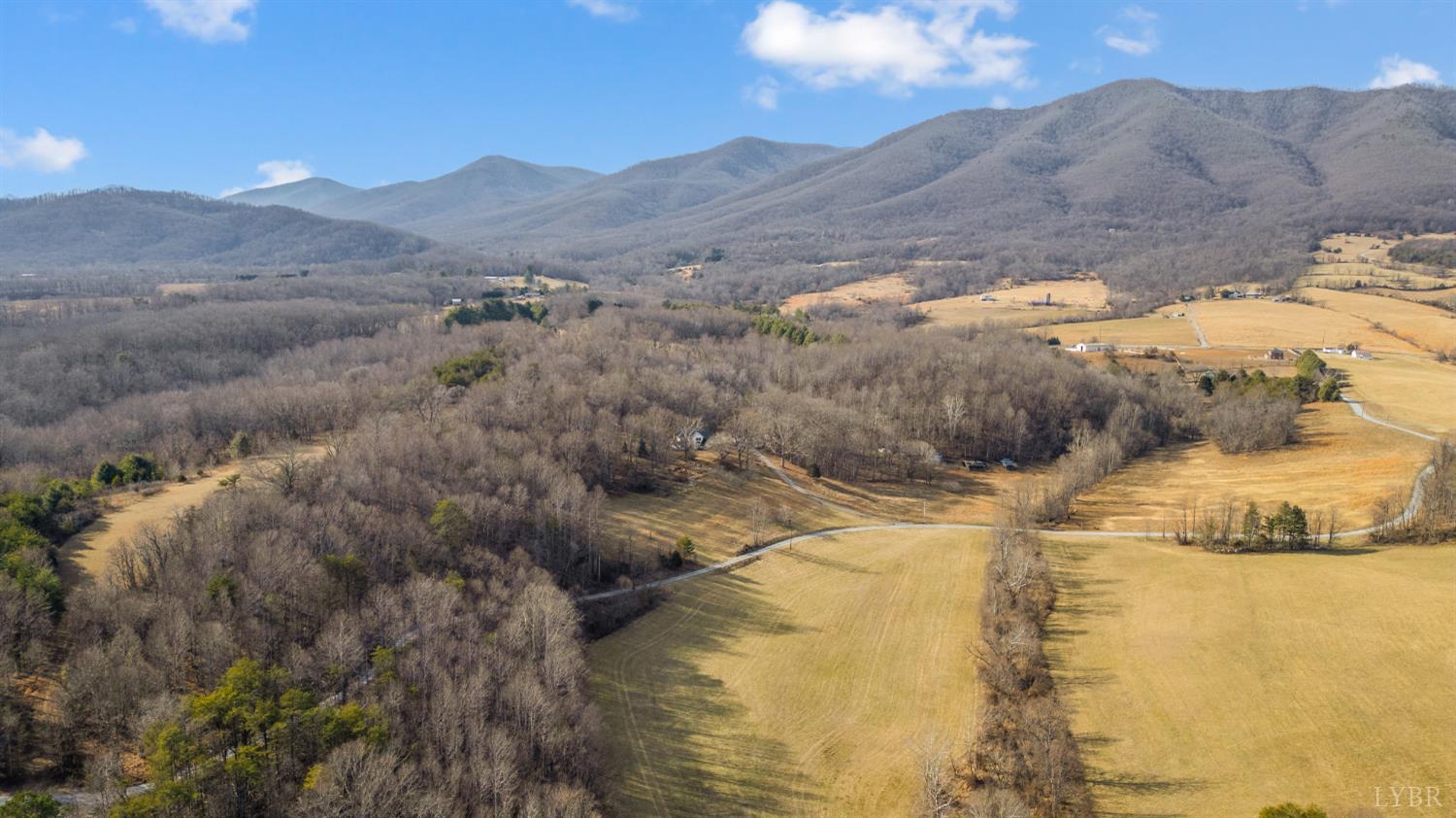 1509 Tolley Meadow Road Big Island, VA 24526 - Photo 54 of 81