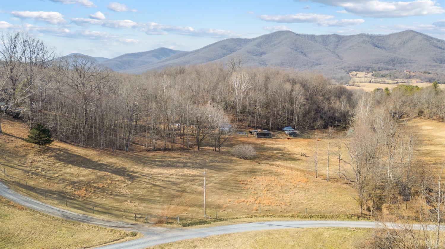 1509 Tolley Meadow Road Big Island, VA 24526 - Photo 56 of 81