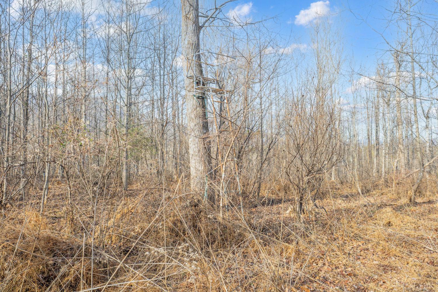 1509 Tolley Meadow Road Big Island, VA 24526 - Photo 62 of 81