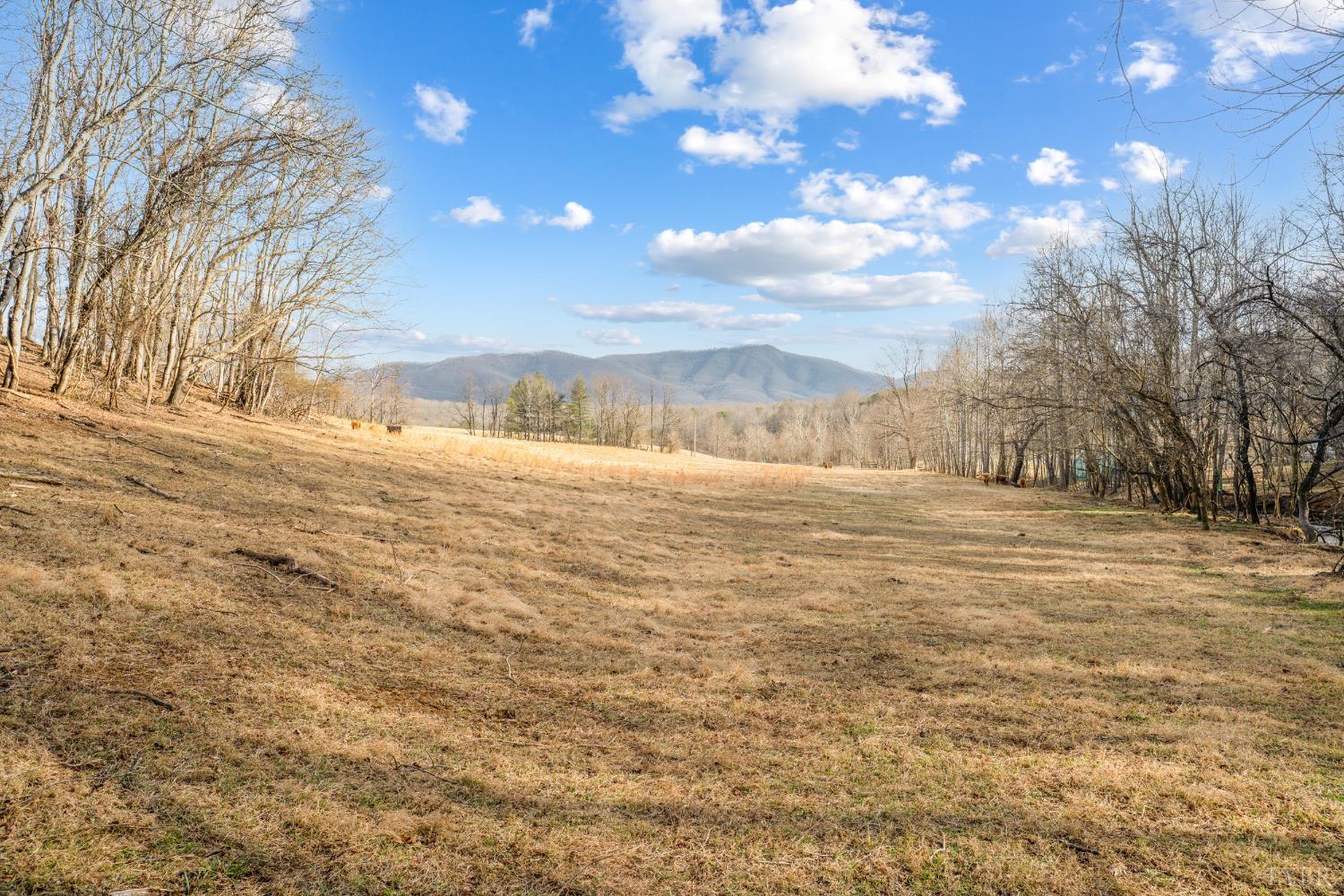 1509 Tolley Meadow Road Big Island, VA 24526 - Photo 64 of 81